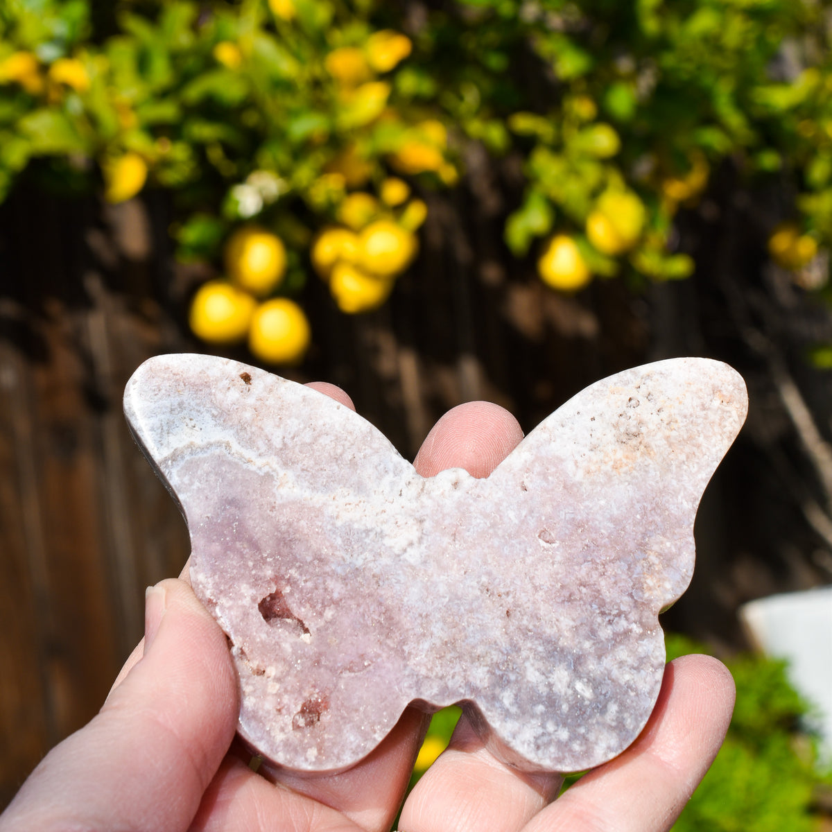 Rose Quartz Butterfly wing store